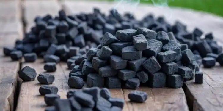Bukan Sekadar Bahan Bakar: Mengenal Arang, Arang Aktif, Biochar, dan Manfaatnya