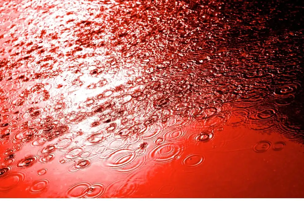 Fenomena Blood Rain: Hujan Merah yang Pernah Menghebohkan Dunia