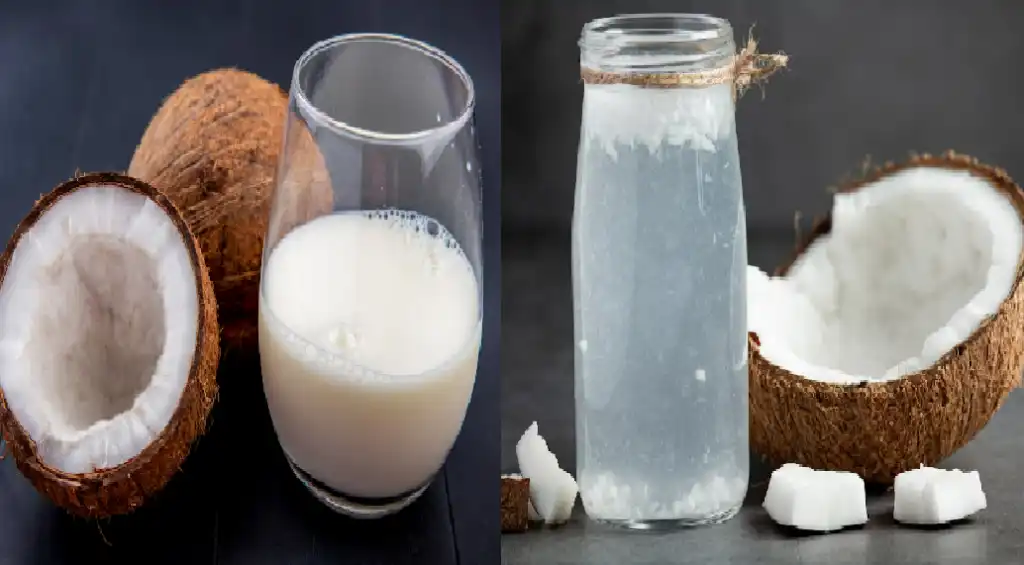 Mengapa Air Kelapa Berbeda dengan Santan? Ini Penjelasan yang Perlu Diketahui