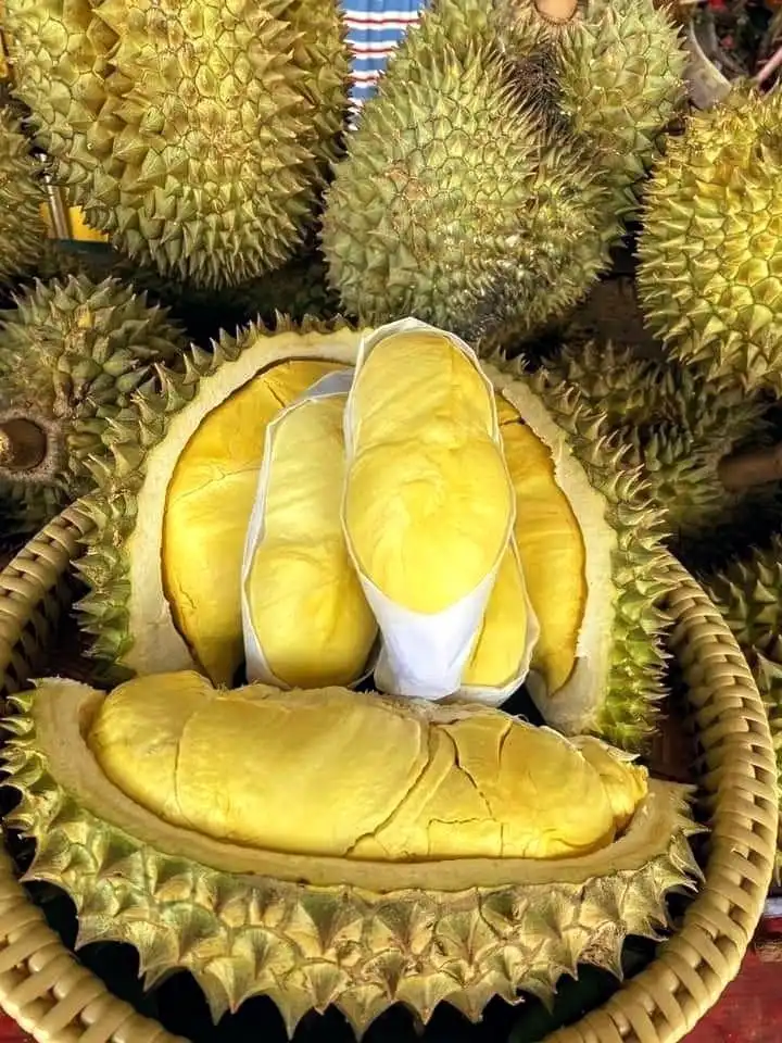 Durian, Si Raja Buah yang Dicintai dan Dibenci: Mengapa Aromanya Begitu Kontroversial?