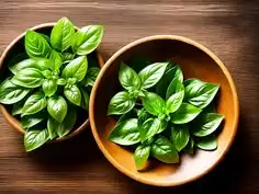 Kenapa Daun Kemangi Punya Aroma yang Begitu Kuat? Ini Rahasia di Balik Wanginya