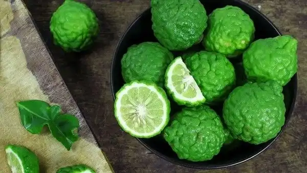 Jangan Sampai Salah! Ini Cara Mudah Membedakan Jeruk Limau dan Jeruk Purut Saat Belanja