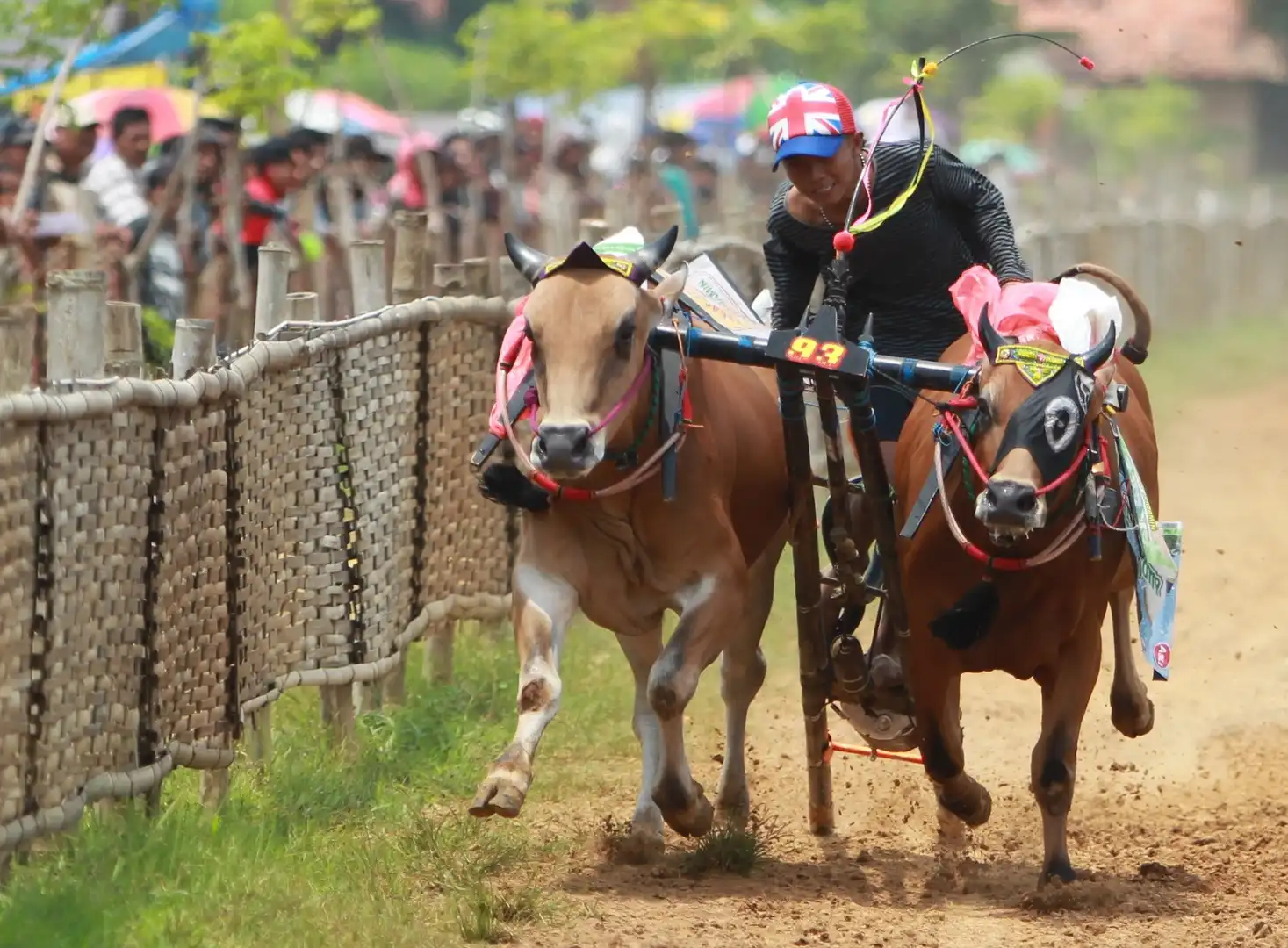 10 Tradisi Unik di Indonesia yang Sarat Makna dan Masih Dilestarikan