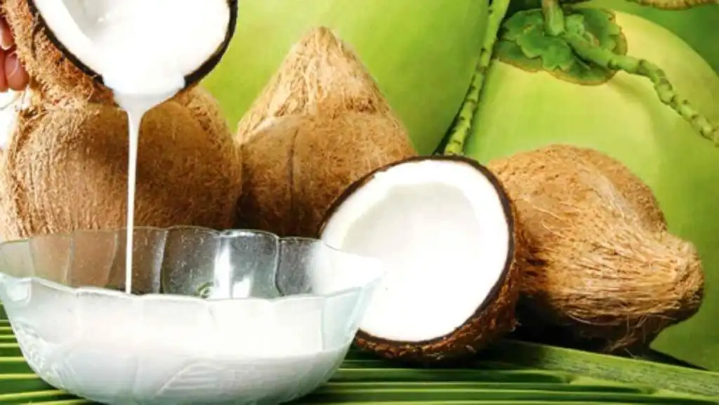 Santan: Antara Nikmat Dunia dan Tiket VIP Menuju Ruang Dokter