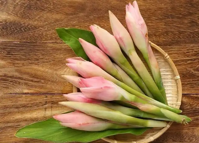 Resep Kecombrang Gorengan: Langkah Mudah & Rasa Lezat