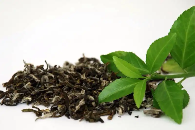 Bukan Sekadar Minuman, Ini Rahasia Daun Teh di Dapur yang Jarang Diketahui