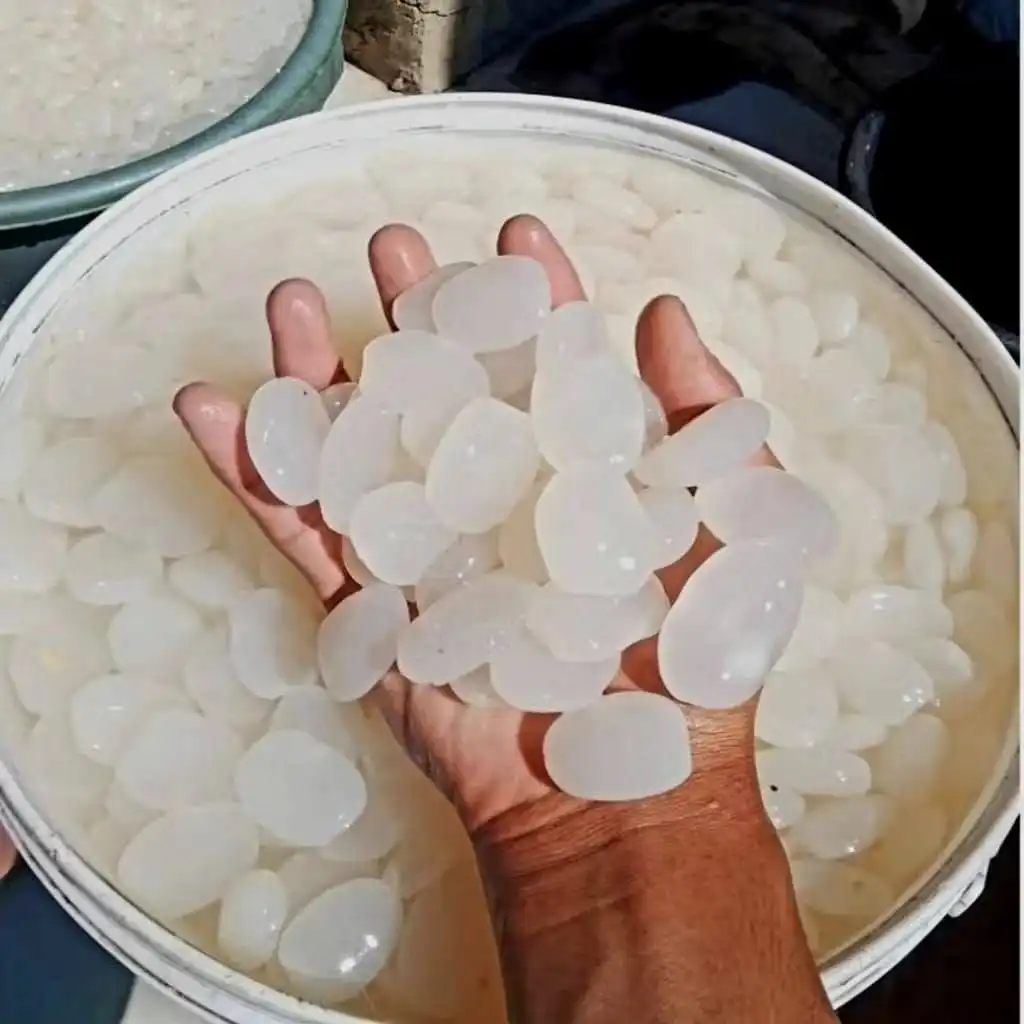 Kolang-Kaling ; Segar, Rendah Kalori, dan Baik untuk Sendi