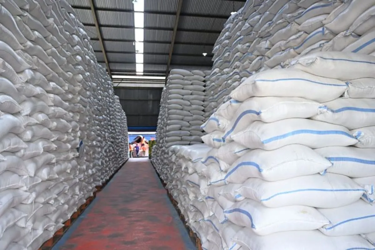 Stok Cadangan Beras Pemerintah Capai 5,2 Juta Ton, Bapanas Pastikan RI Siap Hadapi El Nino 2026