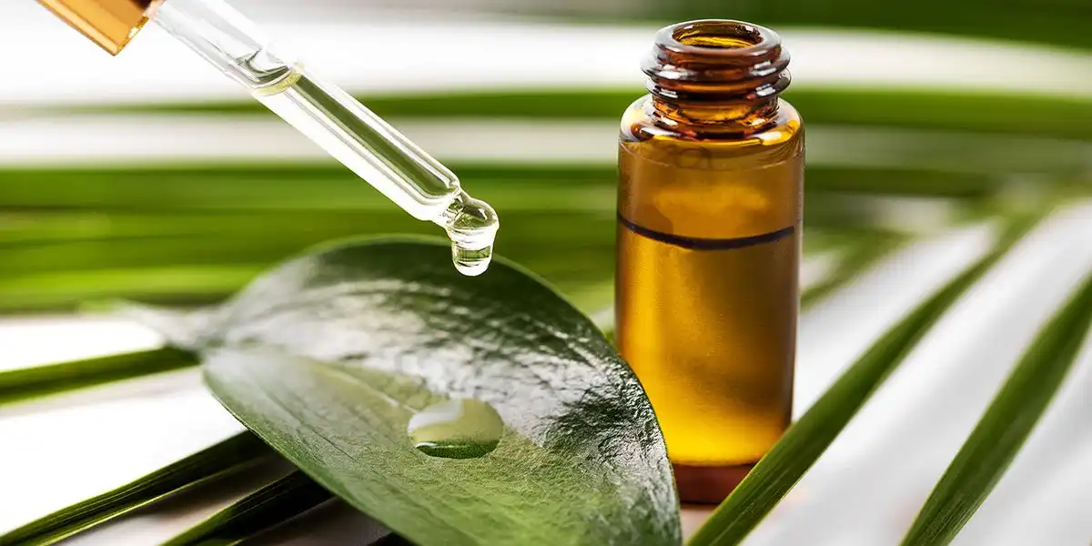 Sering Diremehkan, Padahal Ampuh! Ini Kandungan Ajaib Tea Tree Oil yang Bikin Dunia Kecantikan Ketagihan