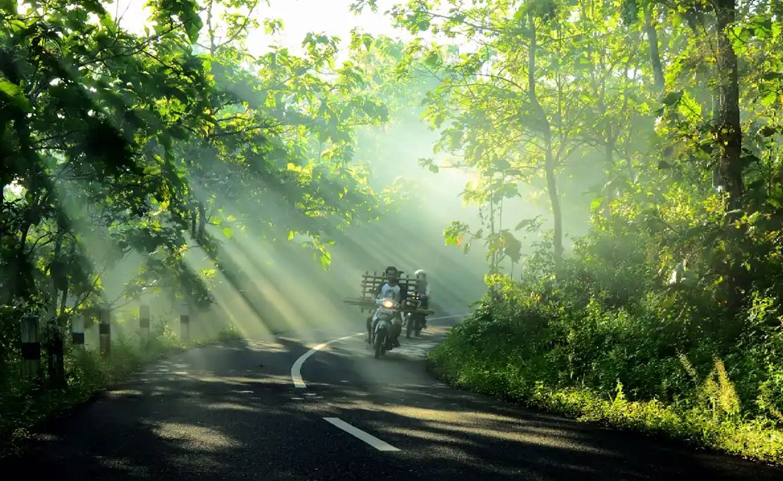 Kenapa Berkendara Pagi Terasa Berbeda dengan Perjalanan Sore?
