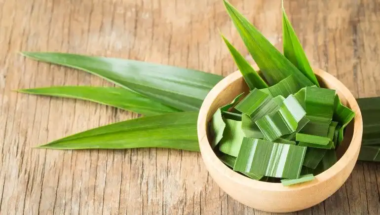 Daun Pandan sebagai Pewangi Alami dalam Tradisi Kuliner Nusantara