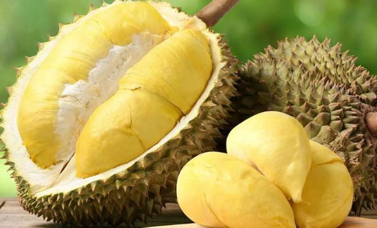 Apa yang Membuat Aroma Durian Bisa Menyebar Begitu Cepat? Ternyata Ini Penyebabnya