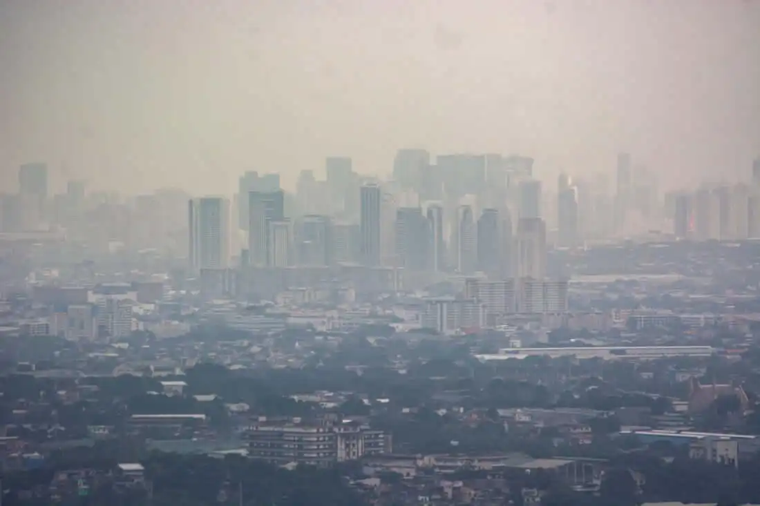 Asap Kebakaran Hutan Bisa Menyebar Jauh, Ini yang Membuatnya Terbawa Angin