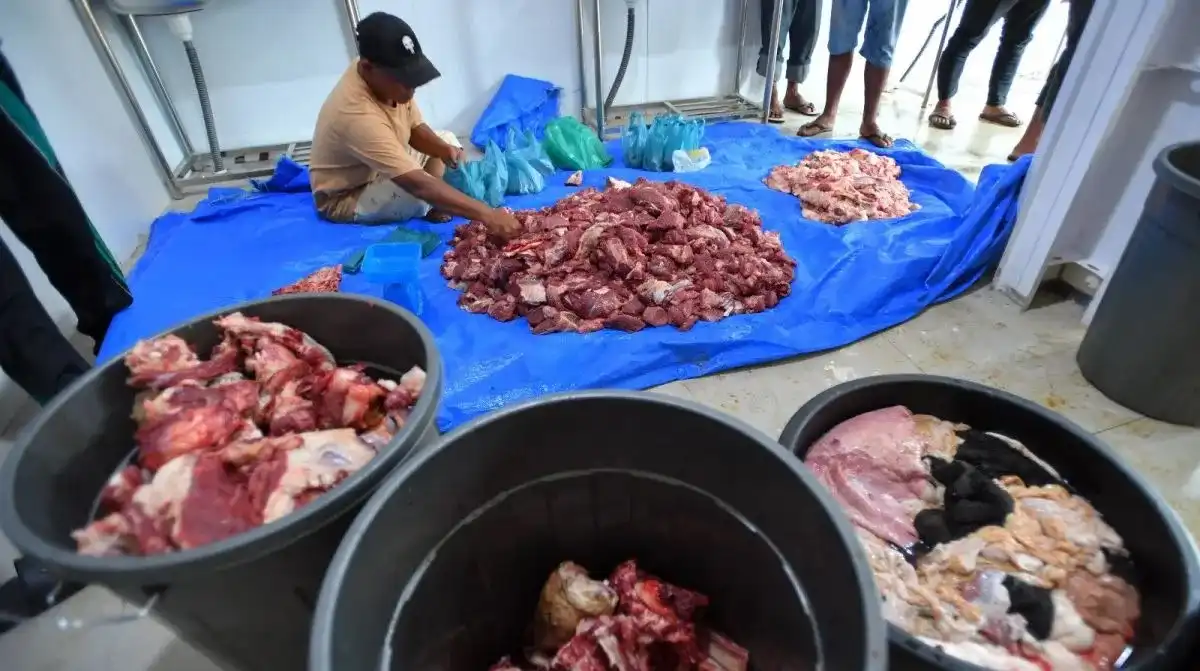 Pemprov Sumut Salurkan Sapi untuk Warga Huntara Batang Toru Jelang Lebaran