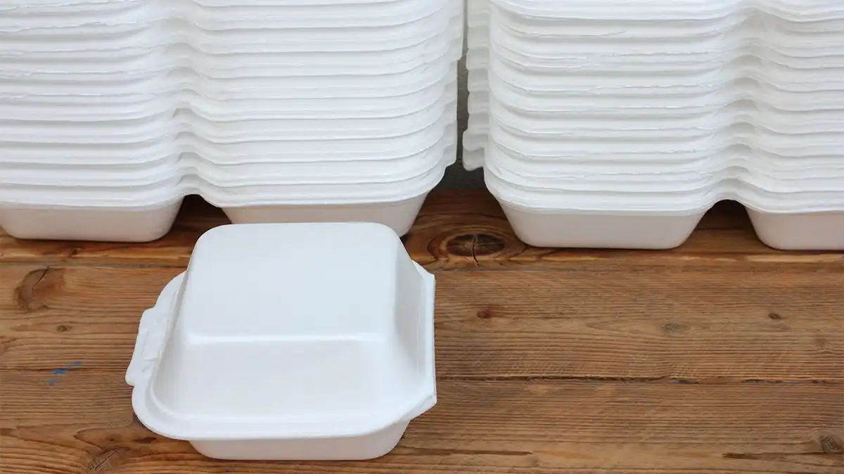 Bahaya Styrofoam untuk Kesehatan dan Lingkungan yang Perlu Diketahui