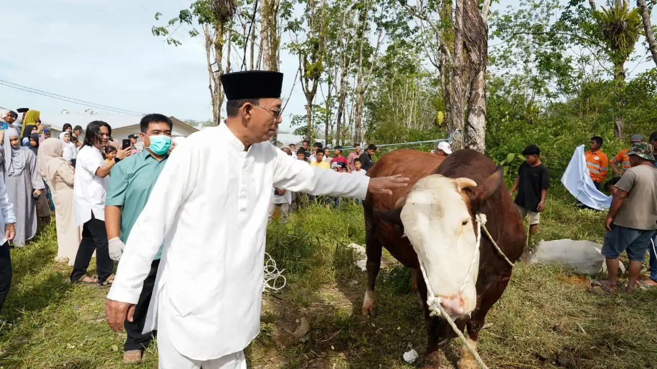 Gerindra Tapsel Serahkan Sapi Kurban di Sipirok, Gus Irawan Dorong Kebangkitan Ekonomi Pascabencana