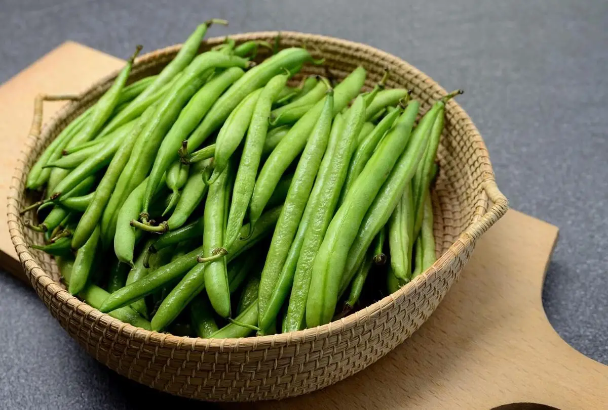 8 Tanaman Sayur yang Tetap Produktif di Area Teduh