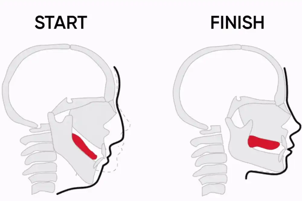 Viral di TikTok, Katanya Bisa Bikin Rahang Tajam? Ini Fakta Sebenarnya Manfaat Mewing!