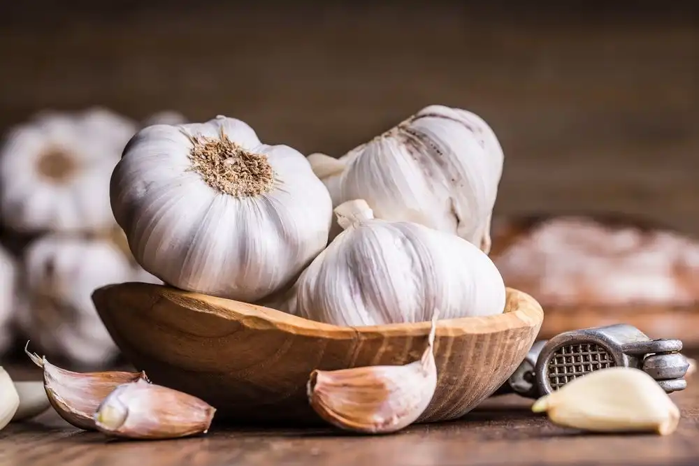 Cara Menyimpan Bawang Putih agar Tidak Cepat Bertunas