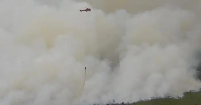 Pemprov Riau Tetapkan Status Siaga Darurat Karhutla hingga 30 November 2026