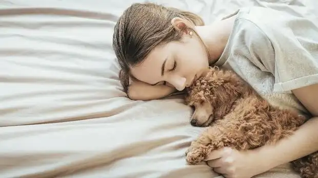 7 Jenis Anjing Kecil yang Lucu dan Cocok Dipelihara di Ruang Terbatas
