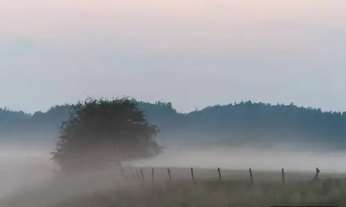 Mengapa Kabut Lebih Mudah Terbentuk Saat Udara Dingin dan Lembap?