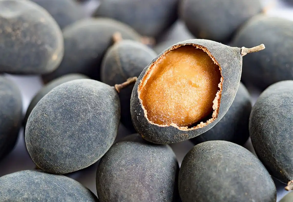 Buah Keranji, Buah Langka dengan Rasa Manis Asam yang Kaya Manfaat