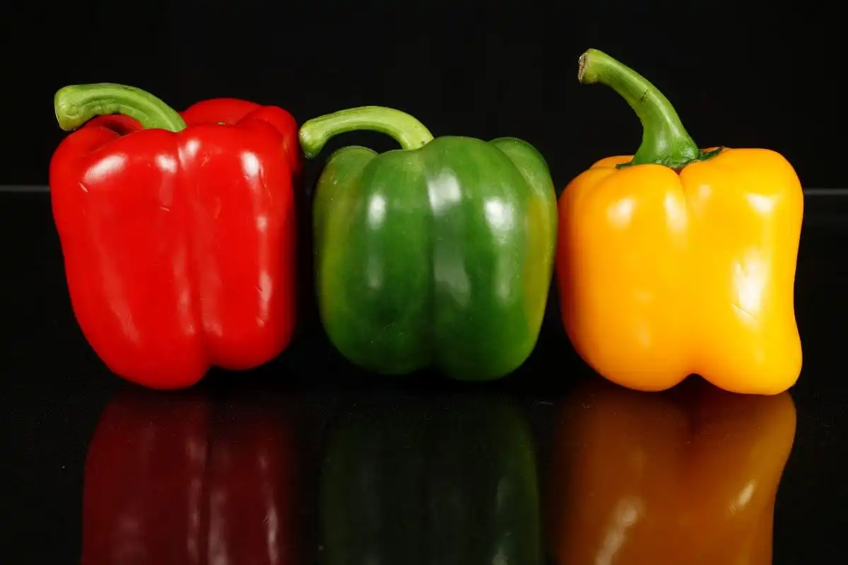 Paprika Merah, Hijau, dan Kuning Apa Perbedaannya?