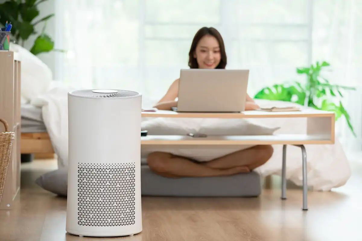 Hal yang Perlu Diperhatikan Sebelum Membeli Air Purifier