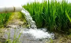 Sistem Irigasi Sawah Tradisional yang Membantu Petani Mengatur Aliran Air