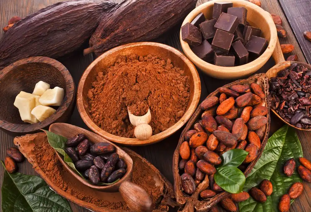 Cokelat Berasal dari Buah, Begini Perjalanan Kakao hingga Menjadi Cokelat Batangan