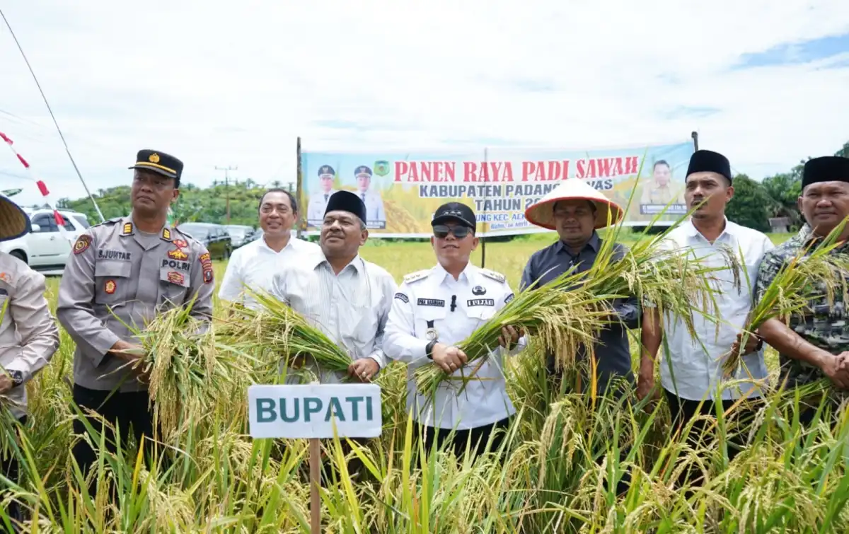 Ketahanan Pangan Jadi Prioritas 2026, Pemkab Padanglawas Usulkan Cetak Sawah 2.000 Hektare