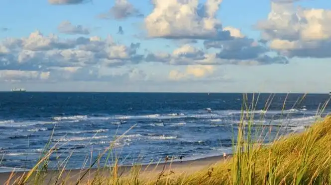 Mengapa Ada Pantai yang Mengeluarkan Suara Seperti Musik? Mengenal Fenomena Pasir Bernyanyi