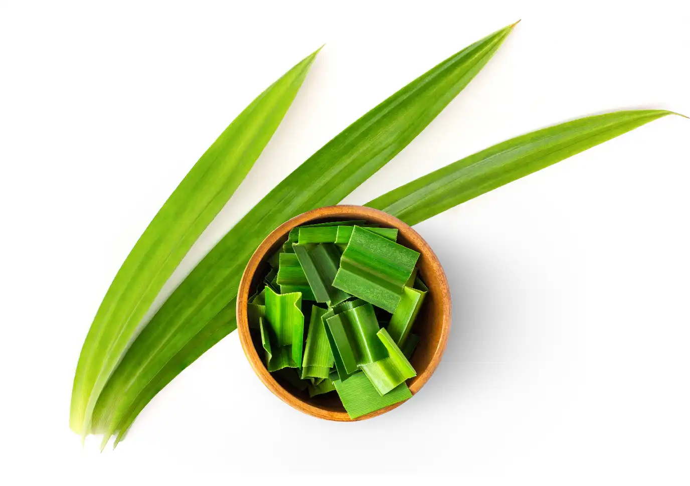 Daun Pandan, Si Hijau Wangi yang Diam-diam Jadi MVP di Dapur Kita