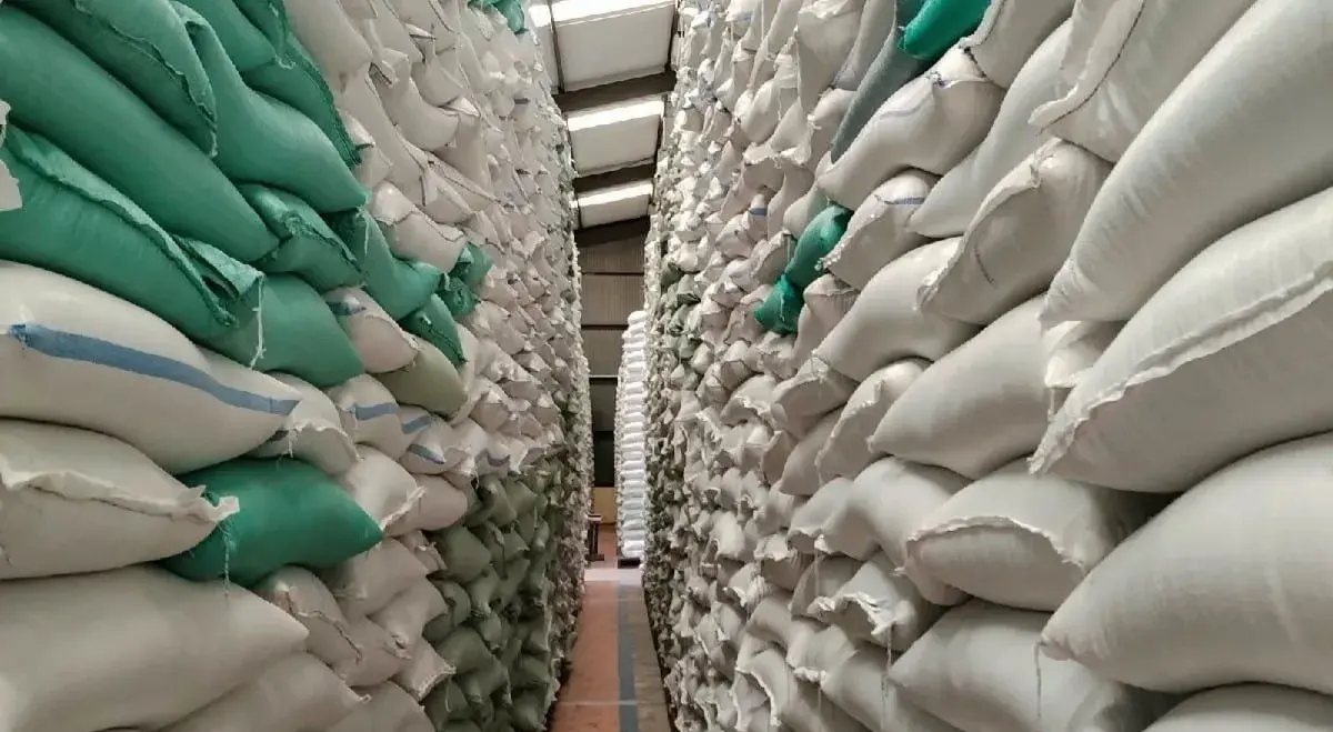 Bulog Sumut Siapkan Tambahan 36.000 Ton Beras untuk Perkuat Stok Pangan