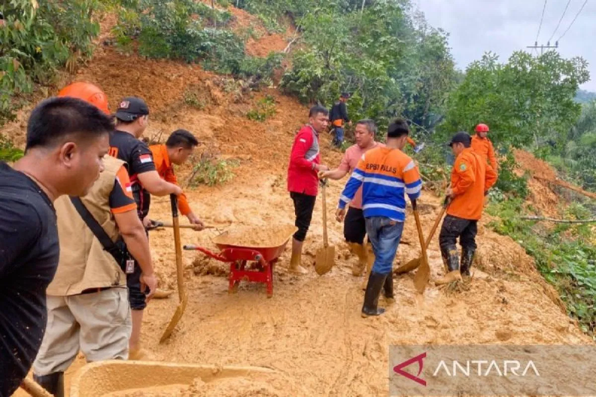 Longsor Tutup Jalinsum Sibuhuan–Sosopan, BPBD Padang Lawas Lakukan Penanganan Darurat