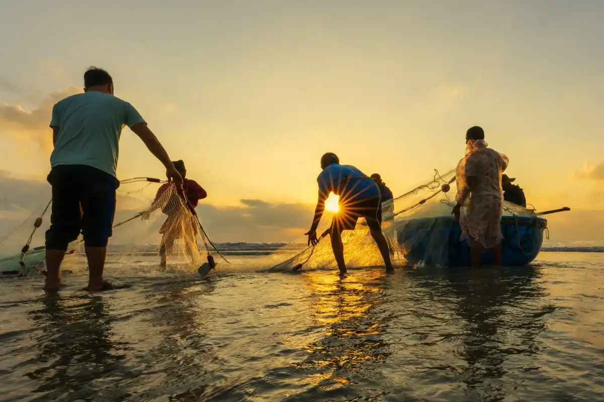 Tradisi Tangkap Ikan yang Jadi Simbol Gotong Royong dan Sumber Nafkah Warga Pesisir