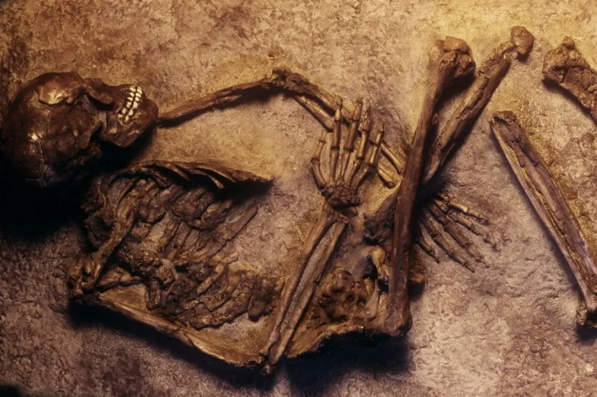 Asal Usul Manusia: Antara Teori Evolusi, Adam, dan Misteri Homo Naledi dalam Dokumenter Cave of Bones