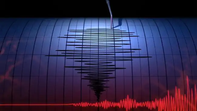 Gempa M 7,1 Guncang Selatan Jepang, Berpotensi Tsunami  