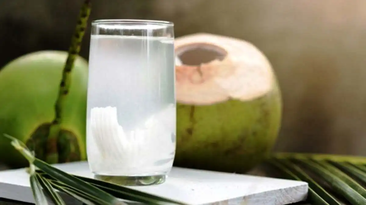 Kelapa Muda sebagai Minuman Alami yang Menyegarkan Tubuh