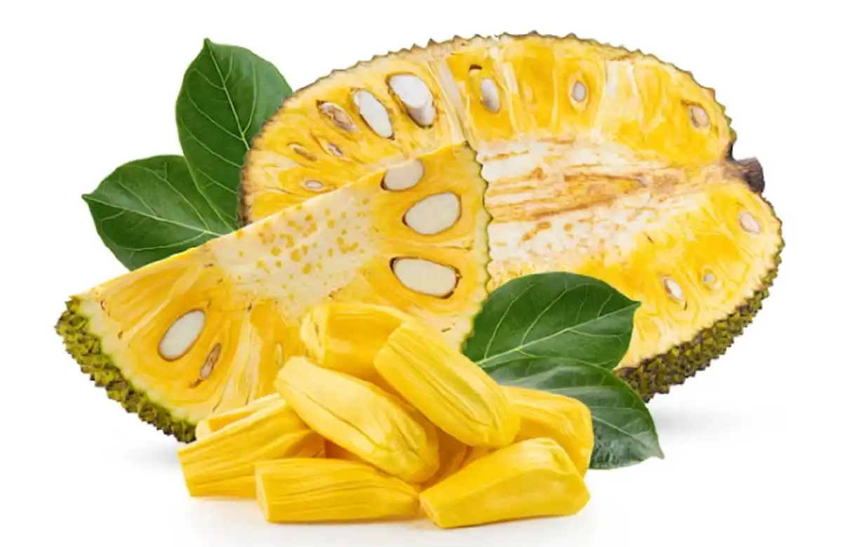 7 Khasiat Buah Nangka untuk Ibu Hamil