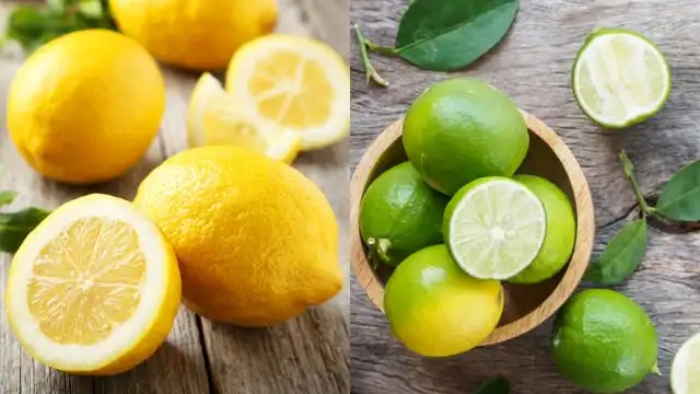 Masih Bingung Bedakan Jeruk Nipis dan Lemon? Simak Penjelasannya