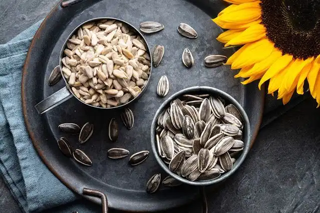 Hobi Makan Kuaci? Yuk Intip Cara Mengambilnya Langsung dari Bunga