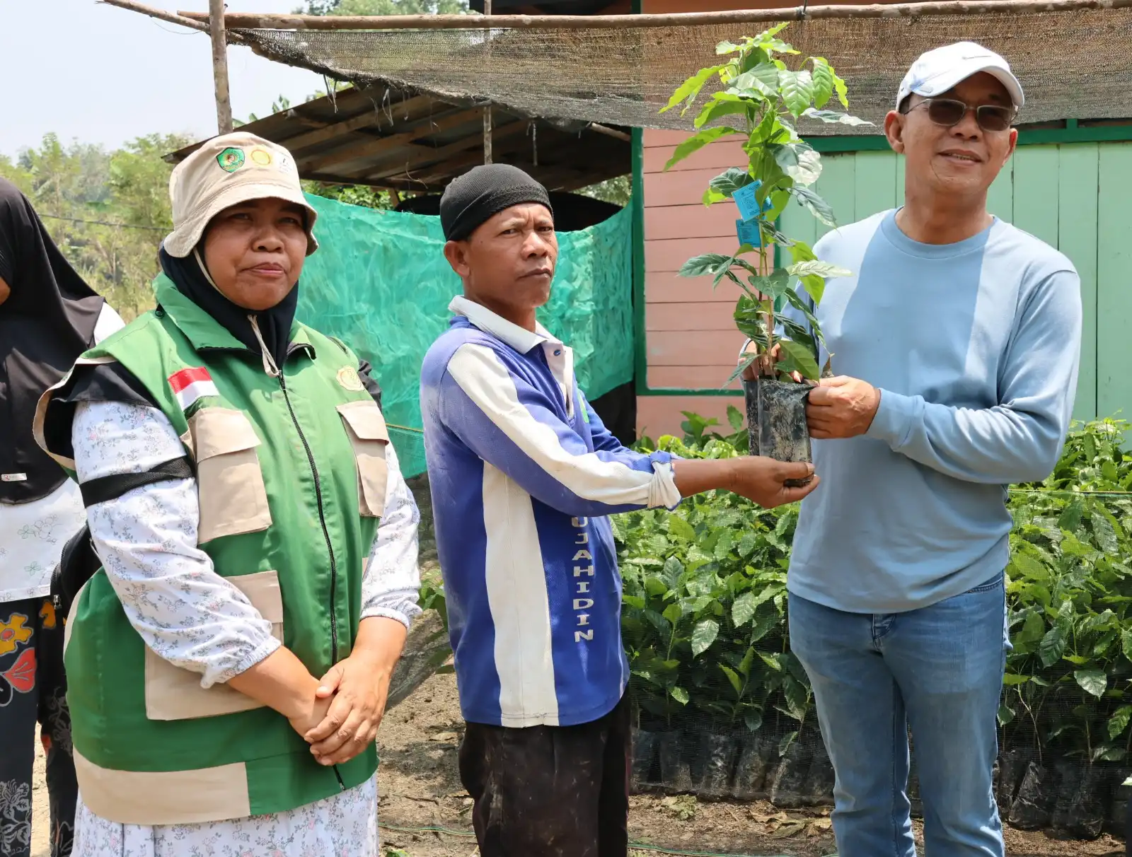 Dari Desa untuk Tapsel Bangkit, Gus Irawan Kawal Kopi 600 Hektare hingga Restocking 2.500 Benih Ikan