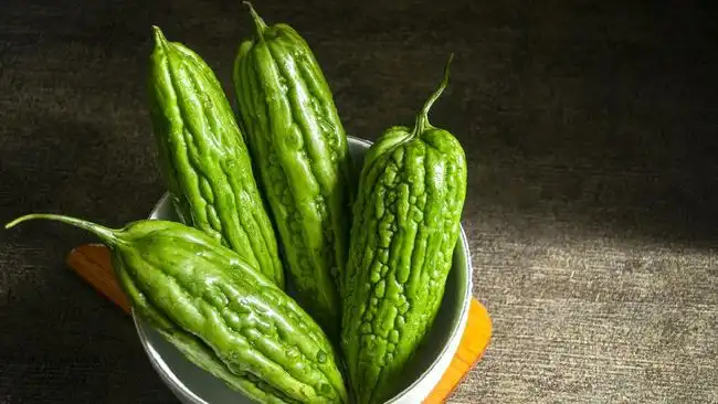 Jangan Langsung Menolak Rasa Pahit, 6 Makanan Ini Ternyata Kaya Nutrisi