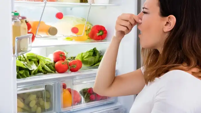 10 Cara Mudah Menghilangkan Bau Kulkas Tak Sedap dengan Bahan Sederhana