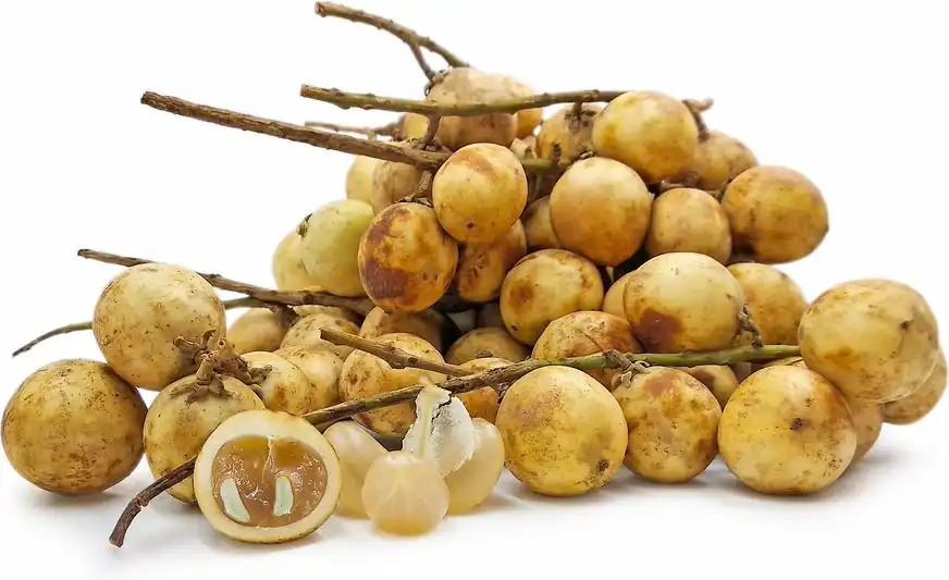 Mengenal Buah Rambai, Buah Tropis yang Manis dan Mulai Jarang Ditemukan
