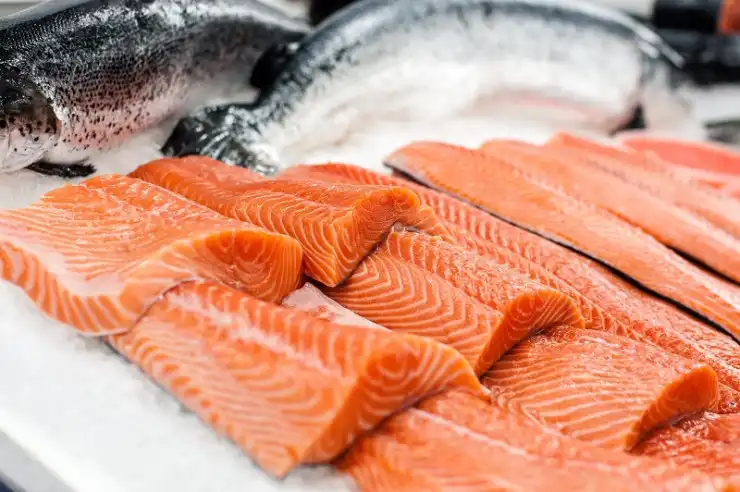 Kenapa Ikan Salmon Harganya Bikin Dompet Meringis? Ternyata Ini Alasannya!