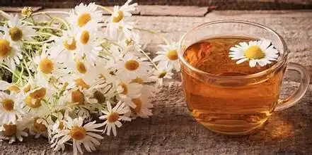 Teh Chamomile dan Khasiatnya bagi Kualitas Tidur