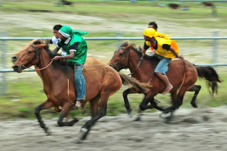 Di Balik Lintasan Pacu, Kisah Kesetiaan Joki dan Kuda yang Tak Sekadar Soal Trofi